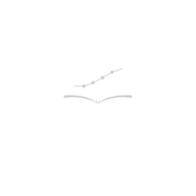 Ryan Company Lansing